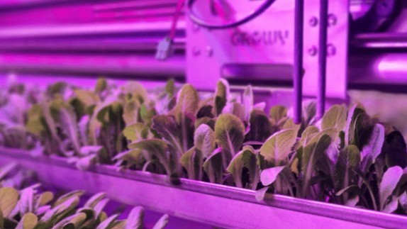 El último boletín de GreenTech destaca innovación en invernaderos, conectividad y soluciones biobasadas.jpg